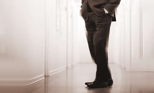 ROLE OF THE PUBLIC OFFICER